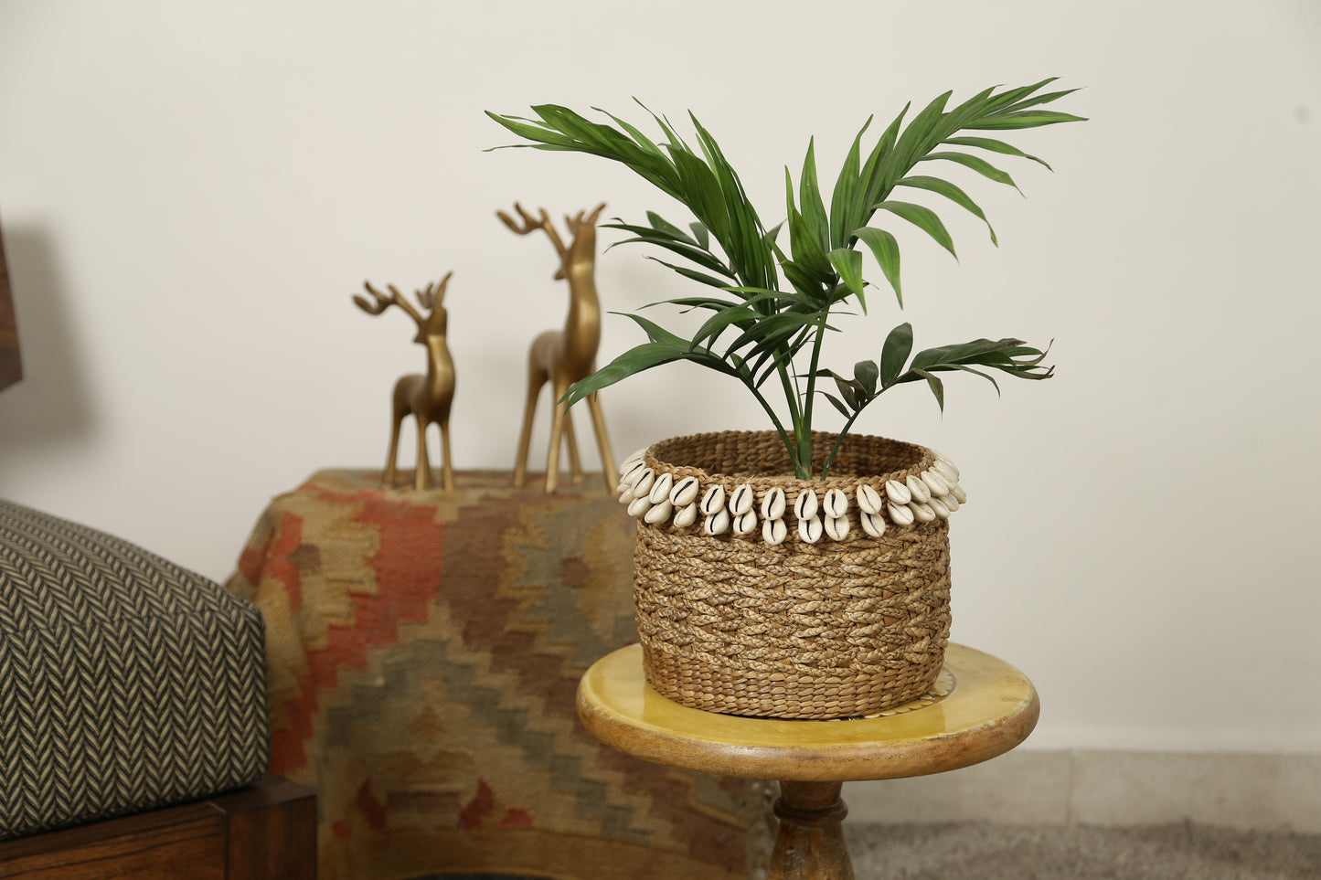 Tropical Shell Planter